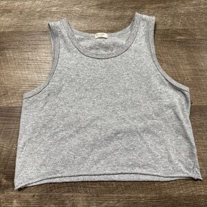 John Galt by Brandy Melville Grey Tank Top Crop Top O/S